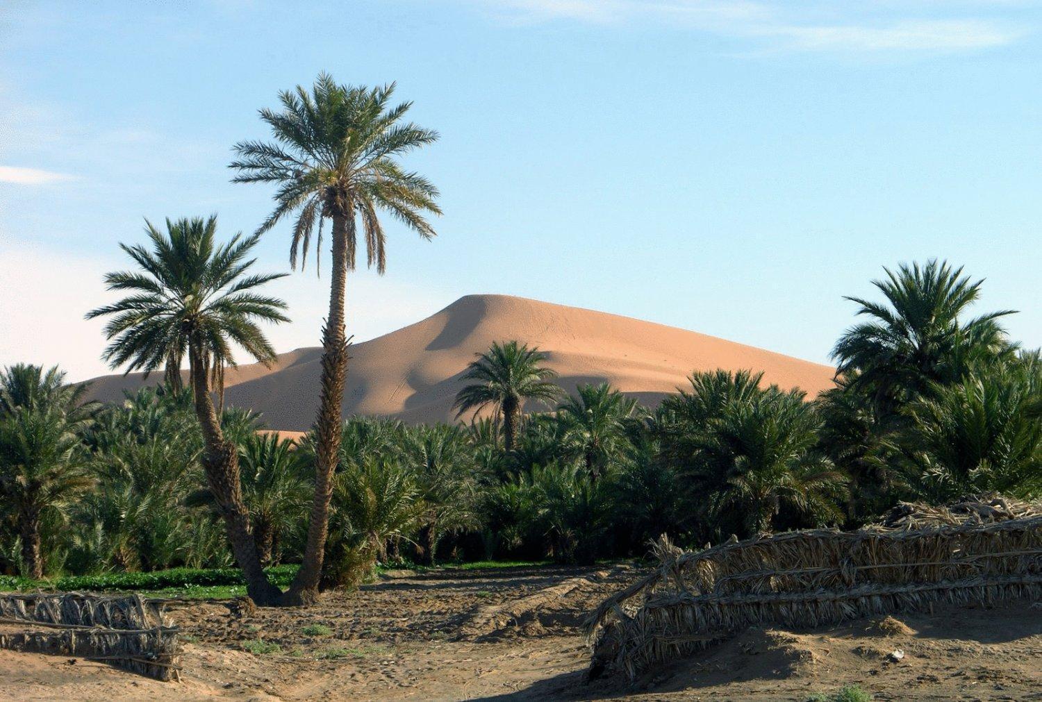 Hotel Riad Oasis Merzouga Eksteriør bilde